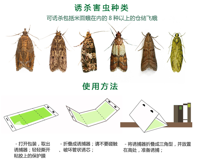 粮食防虫药 衣蛾克星飞蛾陷阱米蛾诱捕器粮食米虫防虫药粘虫纸家用