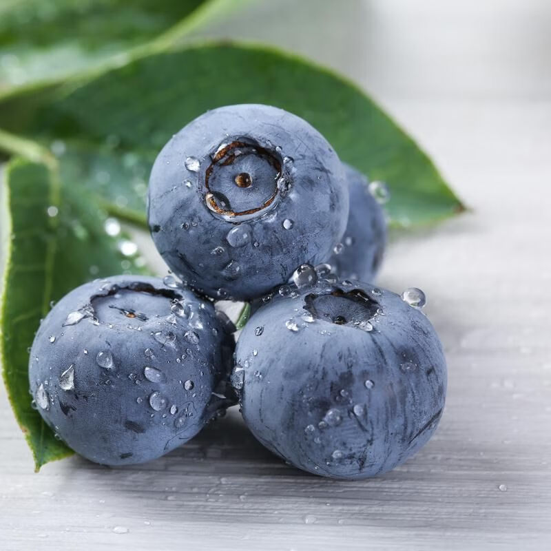 蓝莓鲜果大山蓝莓新鲜蓝莓孕妇水果当季蓝莓大果果园现摘地头直发