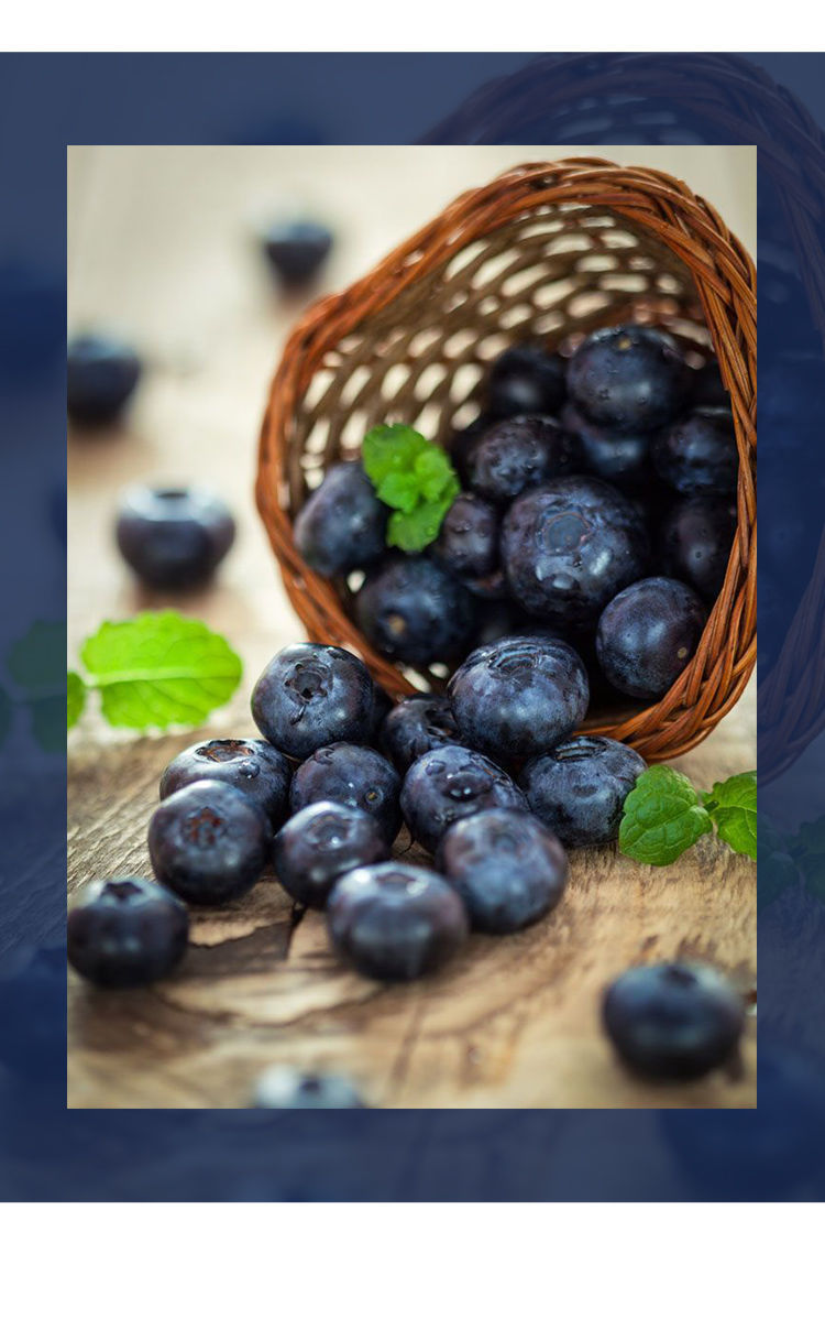 虹越蓝莓树盆栽水果树果苗南方北方种植户外活苗结果可吃四季阳台