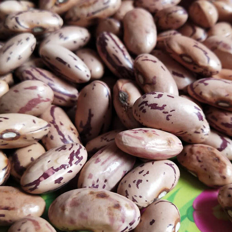 云南雀蛋豆农家自种花生豆雀蛋豆奶花豆红花豆孔雀豆21年新雀蛋豆 1斤