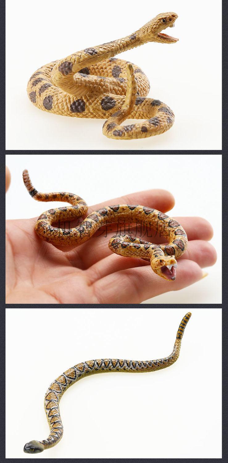 玉米蛇模型实心儿童动物玩具爬行动物模型套装黄金蟒蛇皇蟒球蟒眼镜蛇