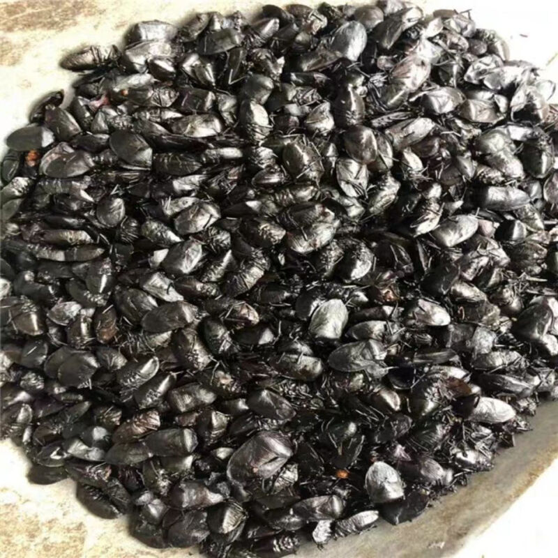 新货500g 云南打屁虫 屁巴虫 现磨细粉 九香虫粉 500克【图片 价格