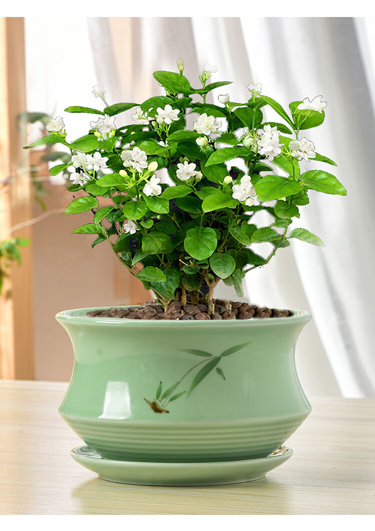 创意陶瓷花盆中国风大号茉莉花盆景绿植哥窑花盆多肉紫砂复古粗陶梅青