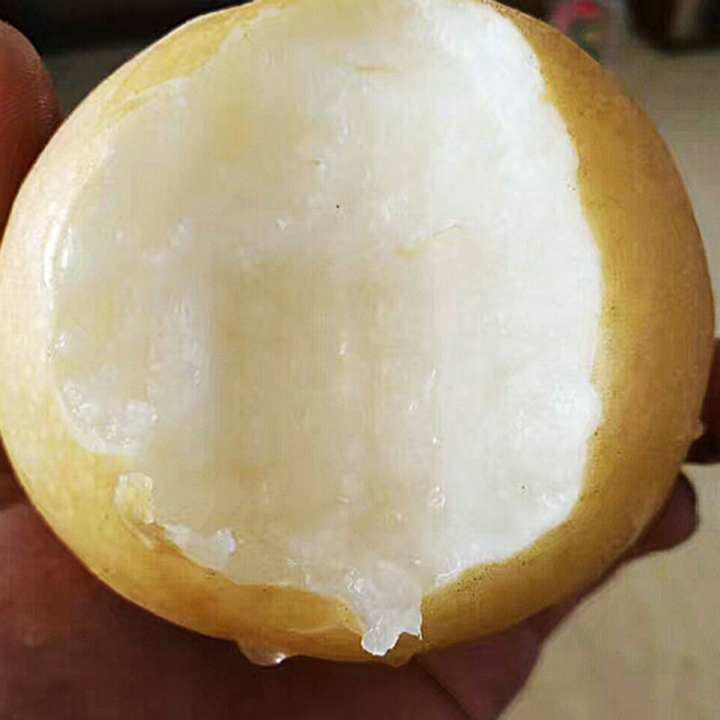 山东丰水梨超甜水秋月梨当季现货水果2斤