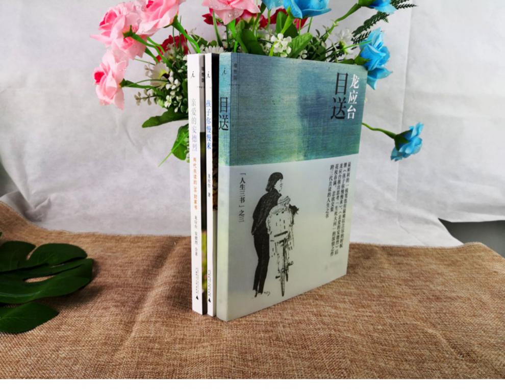 正版龙应台人生三书全3册目送亲爱的安德烈孩子你慢慢来野火集天长