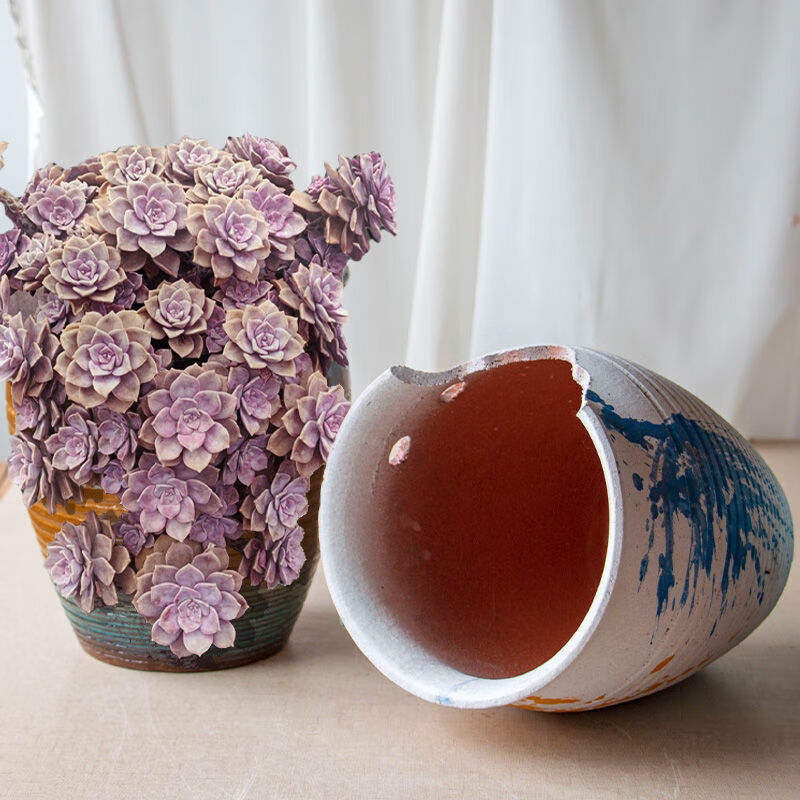 高切口造型缺口悬崖多肉花盆粗陶陶瓷多肉植物特大陶罐小老桩花盆9号