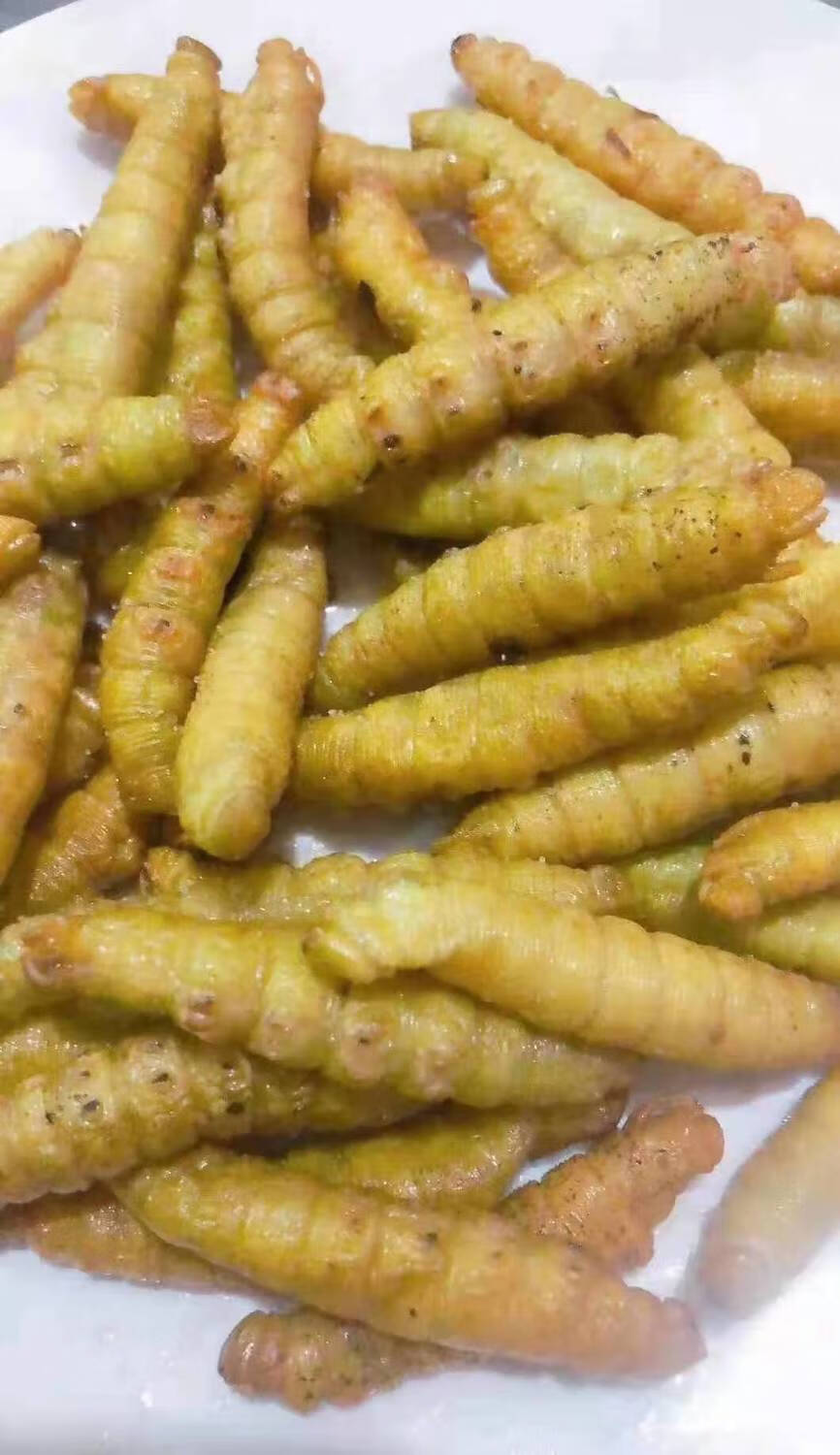 批发豆虫野生山东豆虫豆丹豆虫活体豆虫即食炸豆虫活豆虫豆青虫半斤