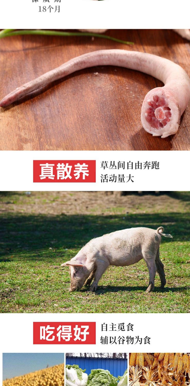 新鲜猪尾巴长尾去毛处理干净25斤约89根华盛1250g