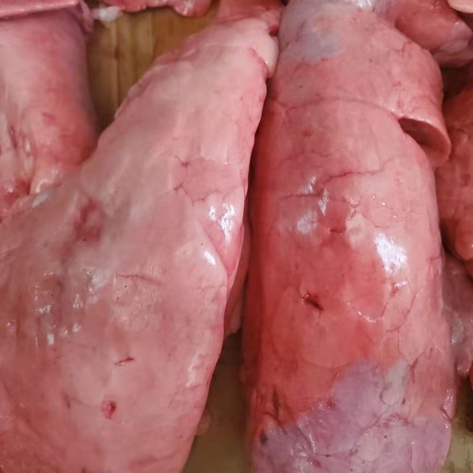 新鲜猪肺子生猪肺子猪肉生鲜买两个赠一个共三个一个2斤左右