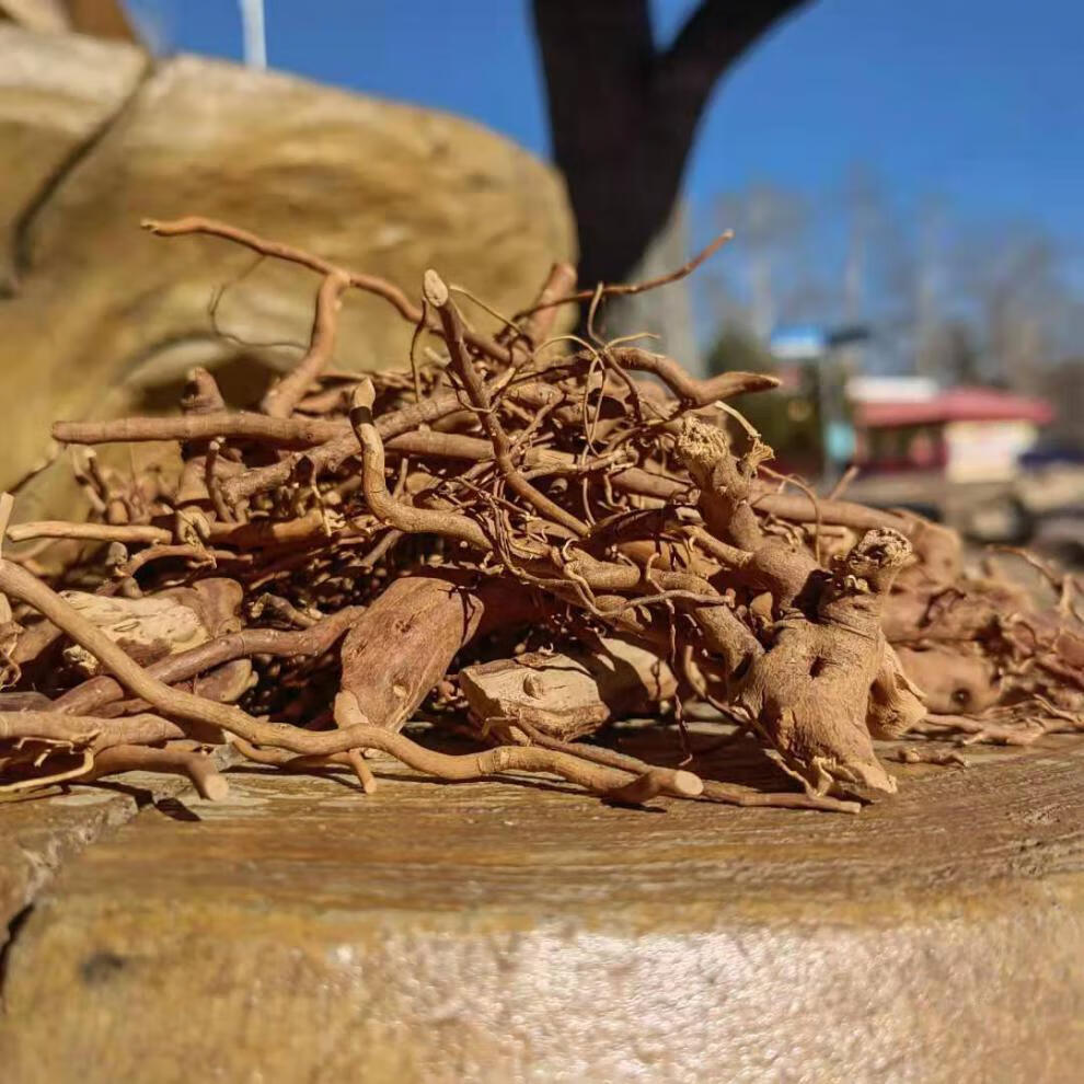 托莫根大兴安岭野生脱膜根托摩根茶泡水天然饮品250克1袋250克托莫根
