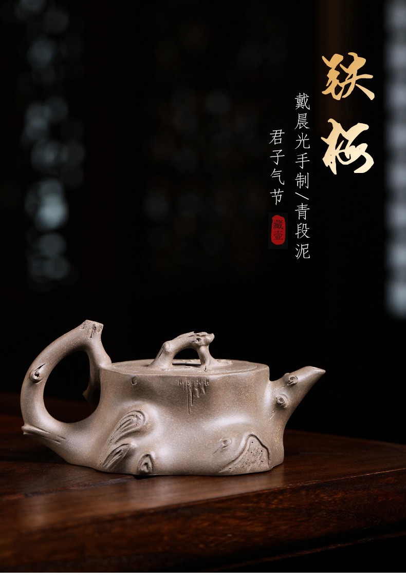 藏壶天下宜兴原矿紫砂壶小容量家用功夫茶具名家戴晨光系列茶壶卧虎