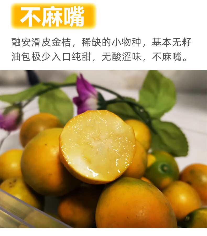 脆蜜金桔广西融安滑皮金桔脆蜜金柑新鲜水果第三代大金橘顺丰脆蜜金柑