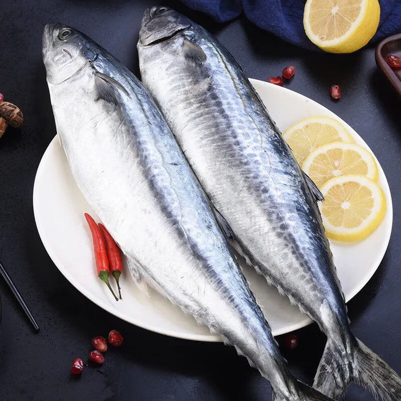 顺丰青岛大鲅鱼新鲜鲜活冷冻海鲜水产深海鱼送礼4斤装2条2整条大鲅鱼
