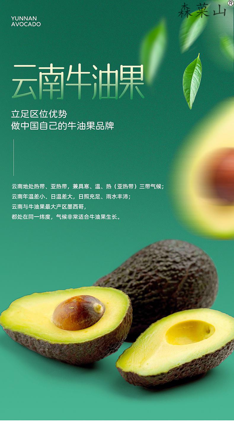 顺丰云南牛油果国产新鲜鳄梨巨无霸哈斯宝宝辅食水果10个大果170200g