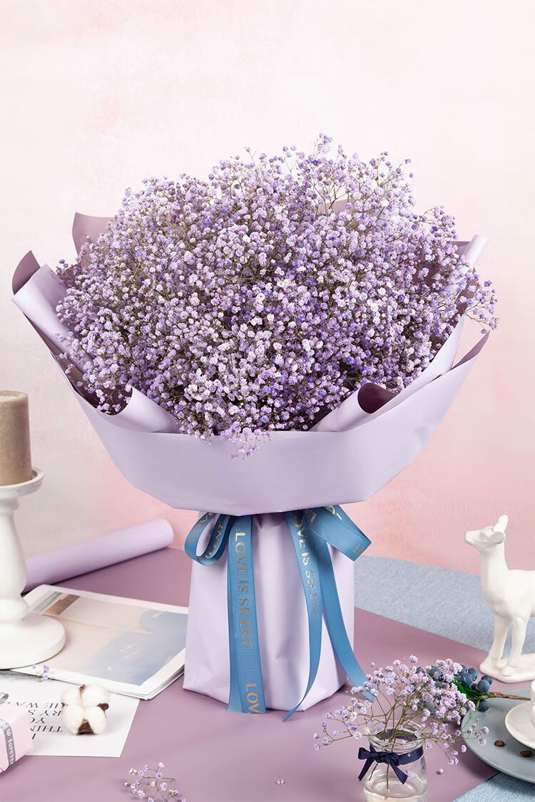 速递花束大束大送女朋友闺蜜老婆生日礼物同城配送满天星辰浅粉满天星