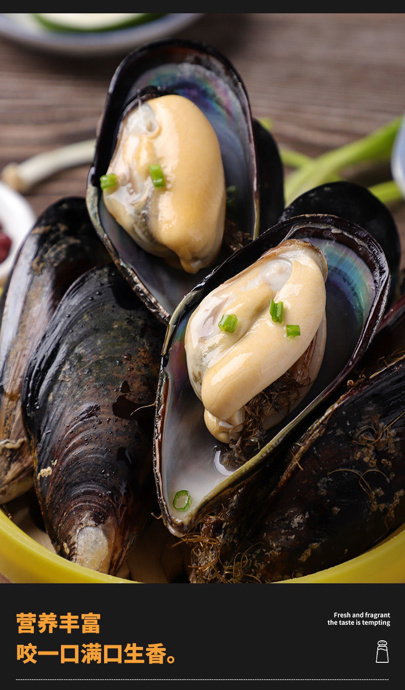 鲜活海虹大号现捕淡菜新鲜紫口贝类海鲜水产6斤装个大当天捕捞