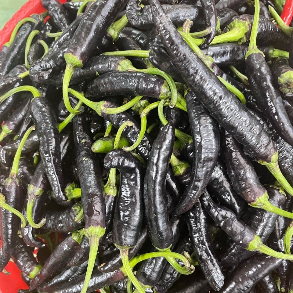 云南德宏农家自种新鲜黑辣子生辣椒很很爽口黑皮辣子不打农2斤