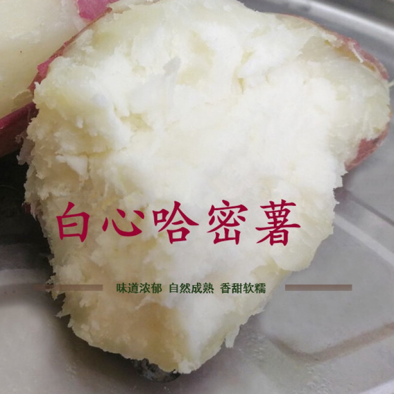 哈密红薯白蜜薯冰糖心红薯蜜薯新鲜地瓜白心白瓤番薯3/5斤 5斤哈密薯