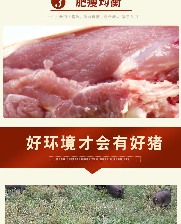 果果生鲜新鲜猪肉猪前肘蹄髈猪前肘子一个25斤左右