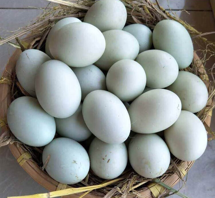 土鸭蛋40枚农家生态新鲜绿壳营养青麻生鸭蛋【图片 价格 品牌 报价】-