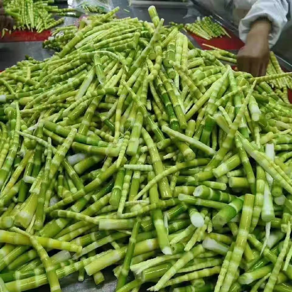 高山翡翠绿笋鲜嫩脆爽小竹笋野笋农家自制笋尖餐饮火锅笋500克5袋
