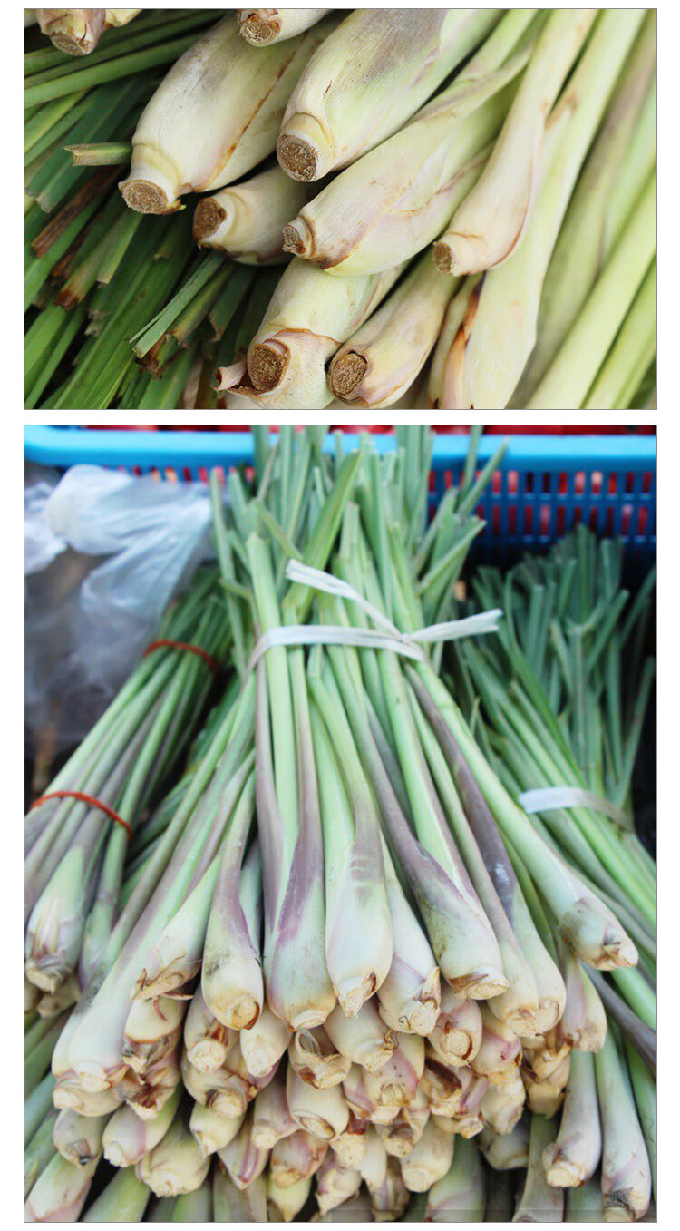 现采现摘新鲜香茅草食用奶茶店调料泡茶香茅500g泰国冬阴功食材香料