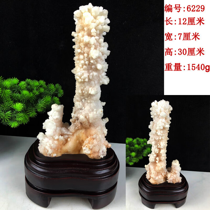beb2adc5f2050e0a.jpg