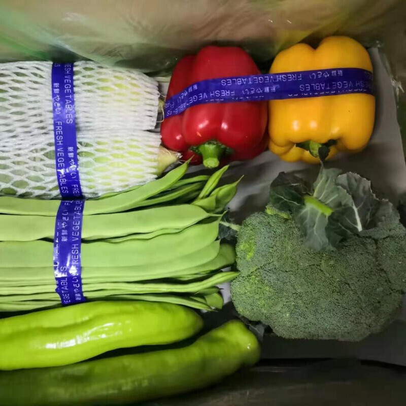 预售预售新鲜蔬菜组合茄子芸豆菜椒黄瓜萝卜大蒜生菜茼蒿油菜菠菜产地