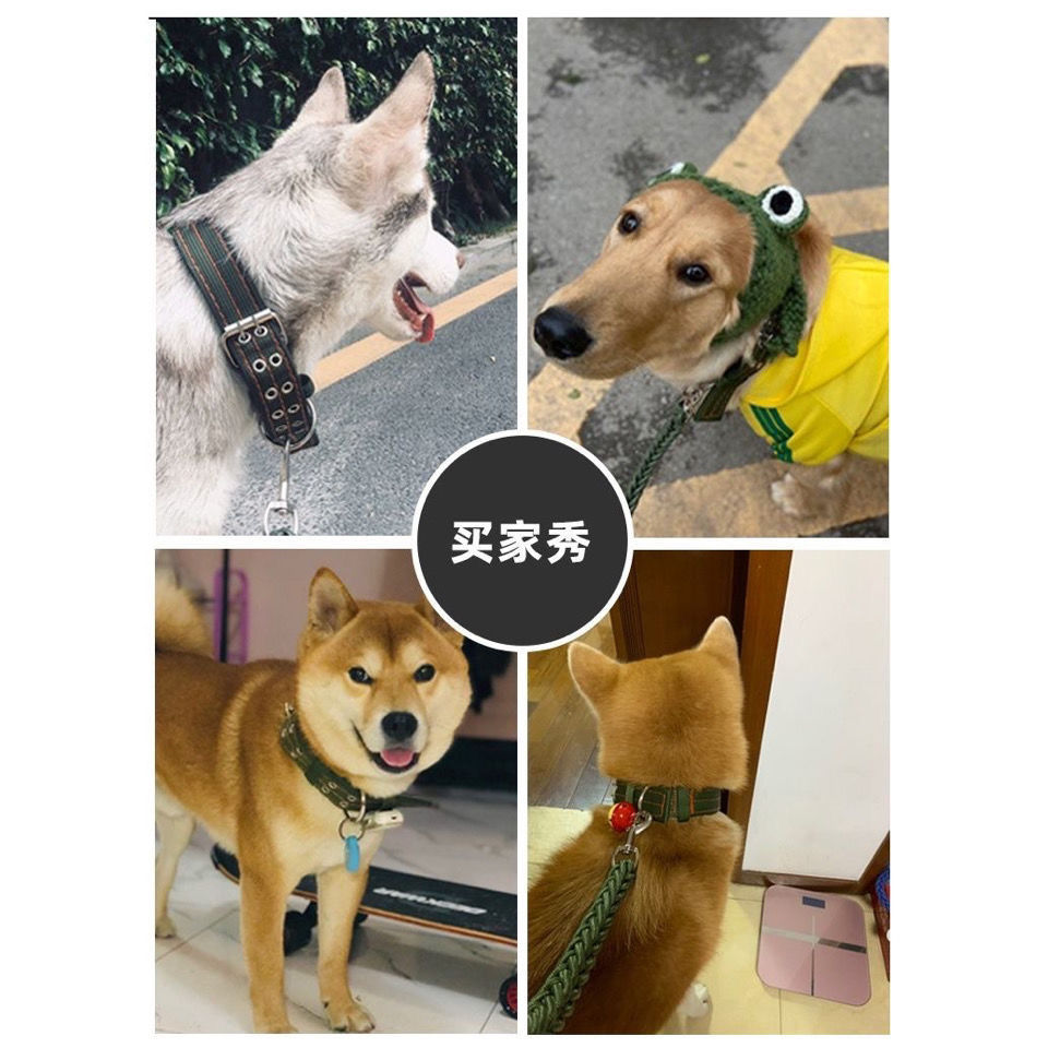 涟木 大型犬狗项圈结实耐用金毛德牧马犬中小型犬脖套头套狗圈颈圈脖