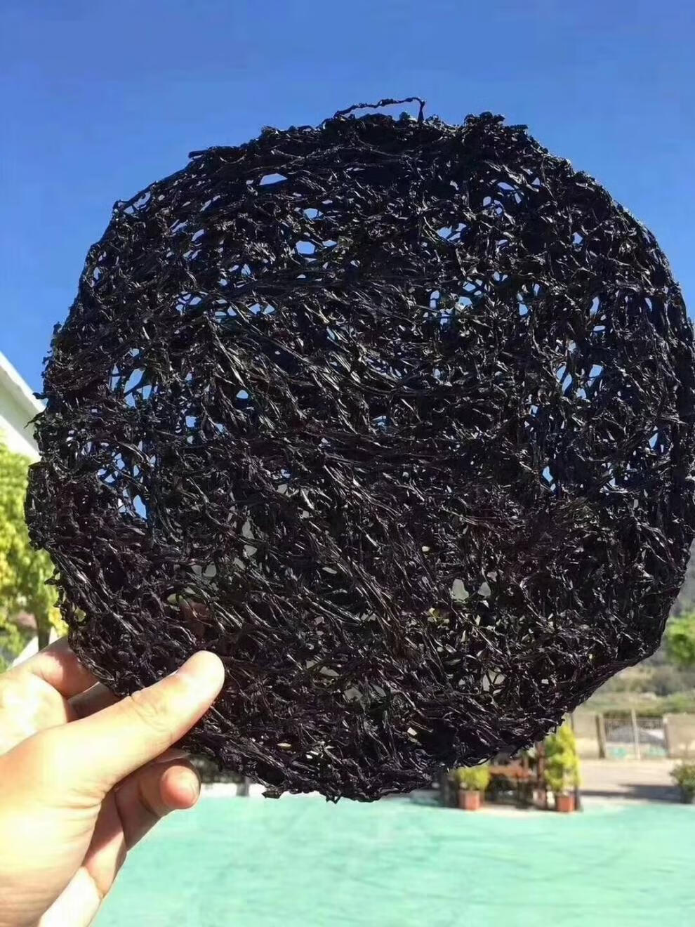 5折 头水南澳紫菜 潮汕南澳头水紫菜 干货 无沙 免洗紫菜速食 紫菜蛋