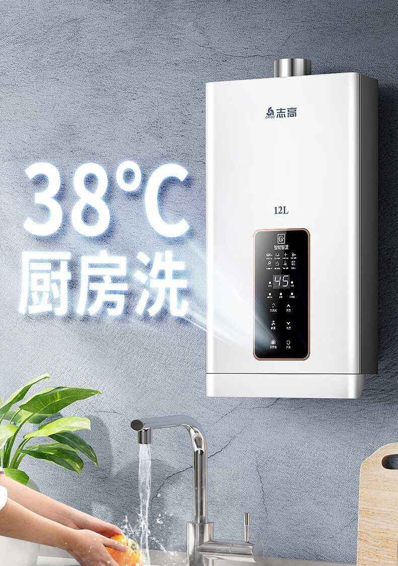 志高燃气热水器家用12升恒温天然气液化气煤气强排式平衡式零冷水米蚁