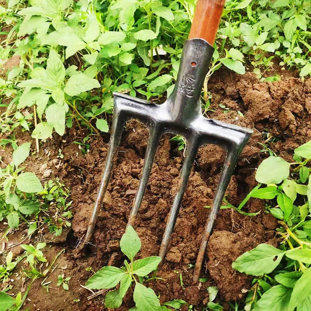 翻地钢叉加厚四齿锰钢叉家用松土挖地深翻挖粪铁叉子批发农用工具奔新