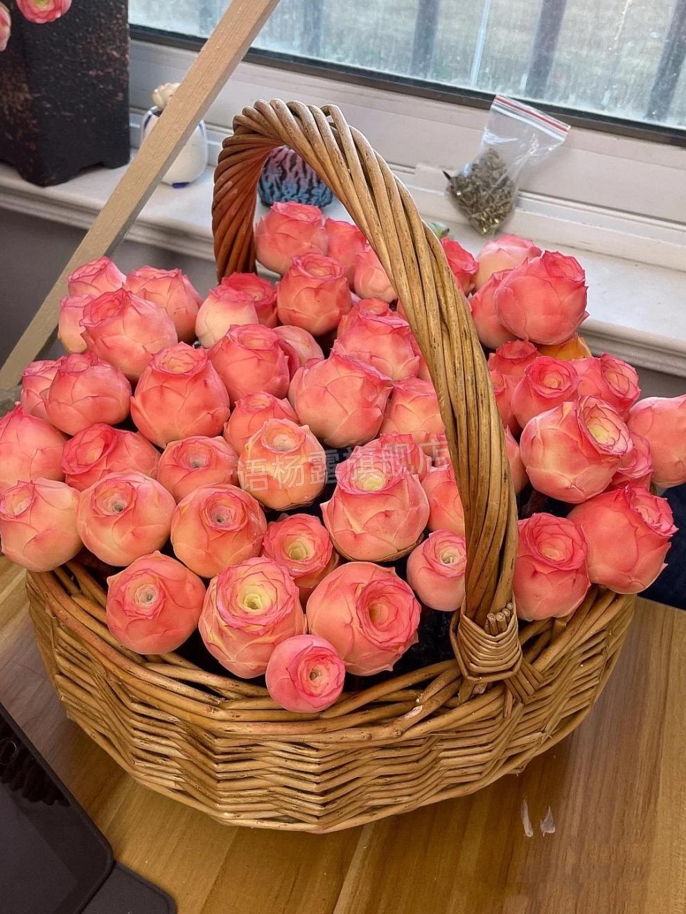多肉山地玫瑰粉耶罗品种 山地玫瑰粉耶罗/粉色酒杯木质桩/新手多肉