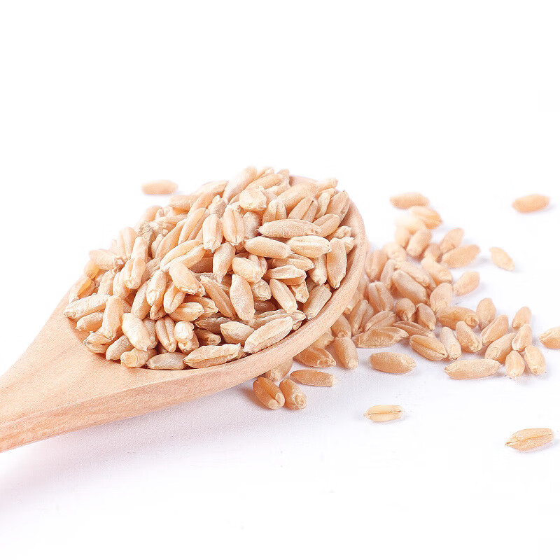 北京同仁堂淮小麦中药材500g怀小麦新非失眠野生中药材店铺中药房药