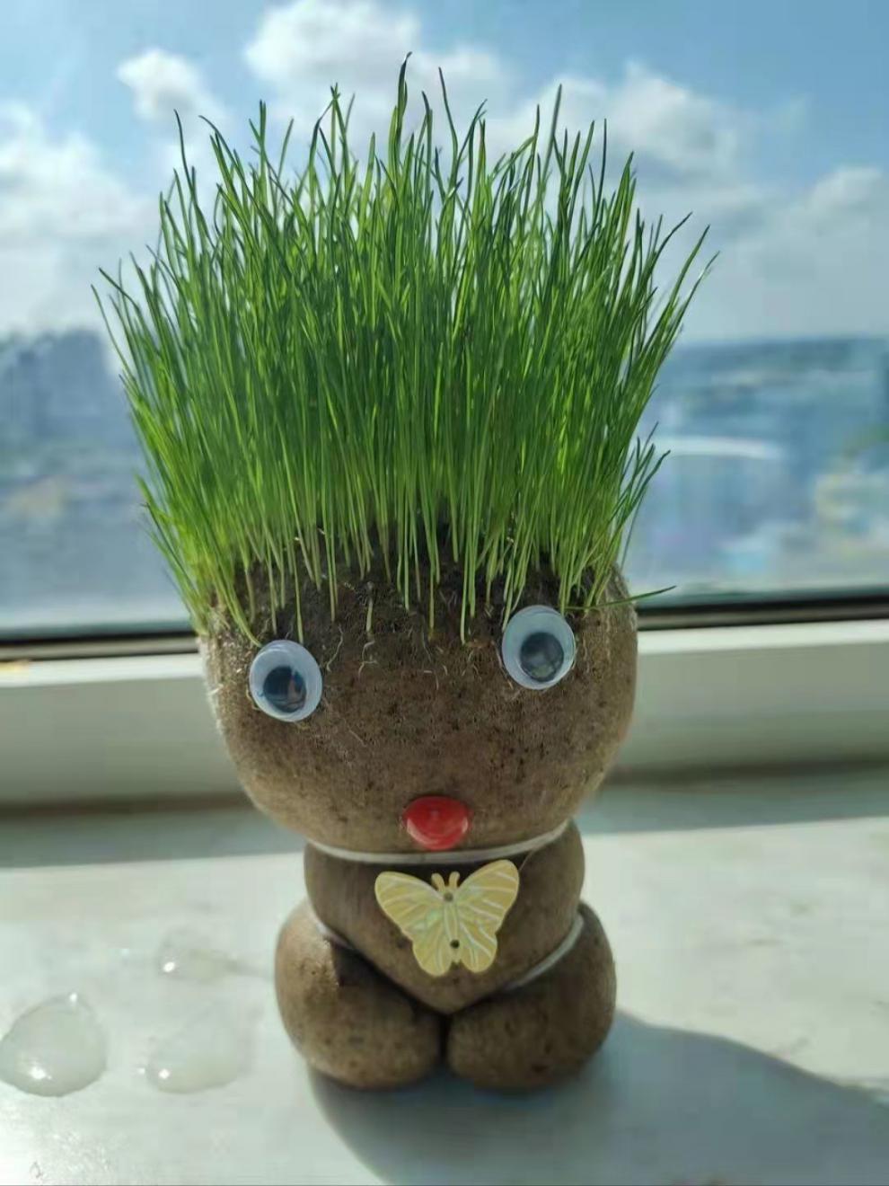 【精选现发】创意长草头娃娃迷你小植物盆栽室内阳台抖音同款可爱桌面