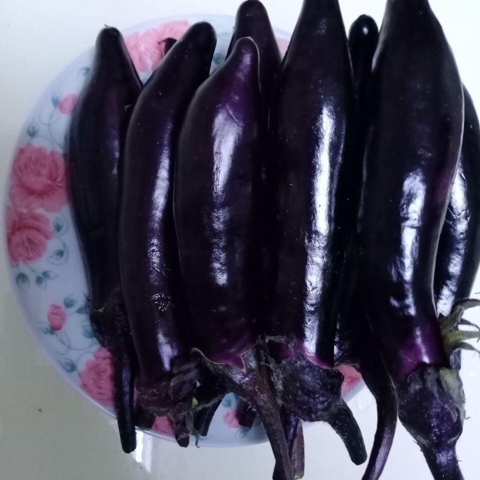 东北紫把小茄子生吃小茄子新鲜农家自种新鲜蔬菜蒜茄子1斤小茄子