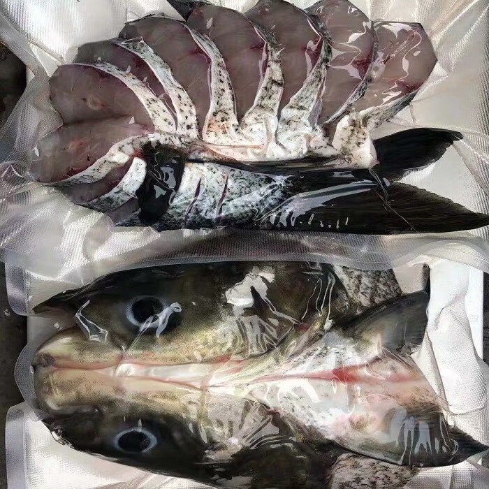 生新鲜速冻胖头鱼花莲鱼鳙鱼5斤装