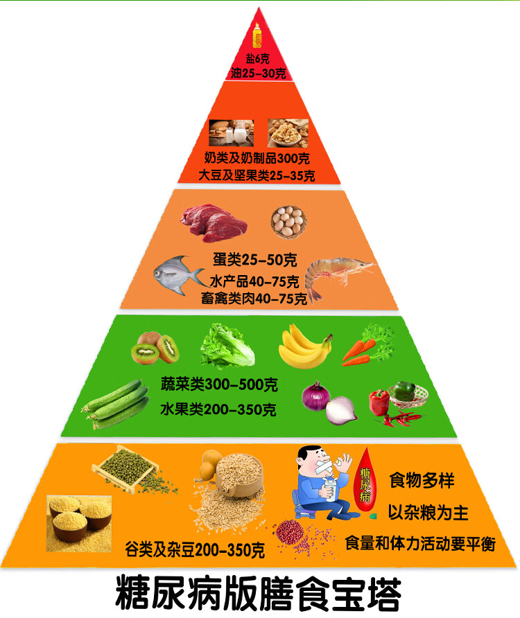 食物金字塔 2022新版中国居民膳食宝塔模型仿真食物平衡营养金字塔