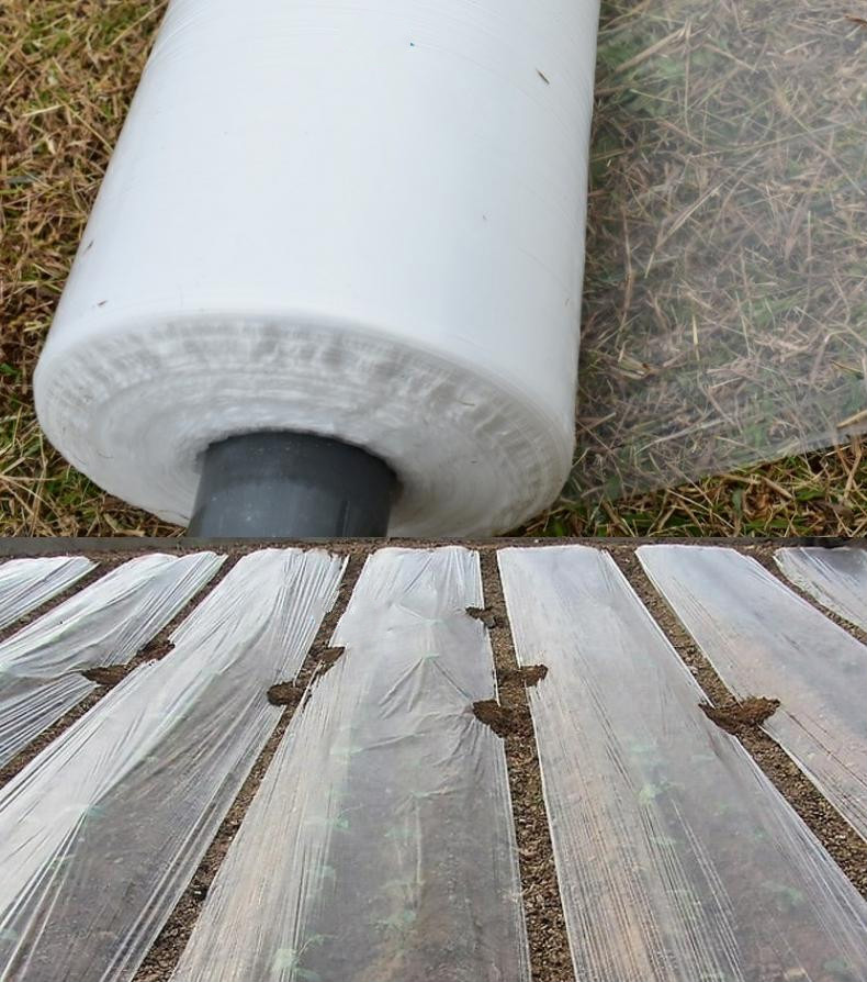 种植蔬菜耐用塑料布透明加厚大棚膜隔热薄膜地膜保暖防寒瓜果膜白色整