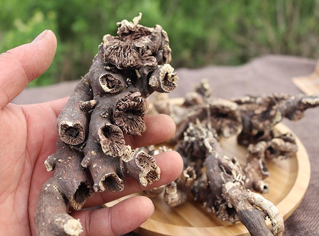 东北升麻野生窟窿芽根苦老芽根升麻粉无硫鬼脸升麻500g中药材【图片