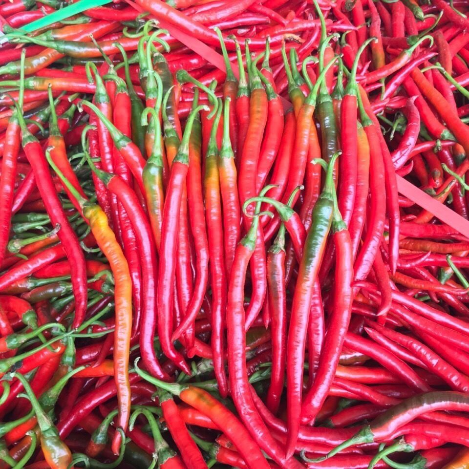湖南特产新鲜蔬菜二荆条红线椒尖椒中辣特辣朝天椒特辣椒 3斤红线椒