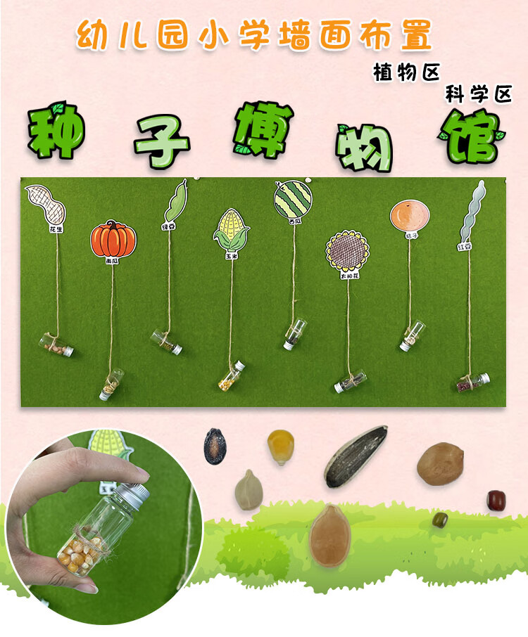 小学主题墙面科学布置种子区域区角材料 【中大班】种子博物馆【图片
