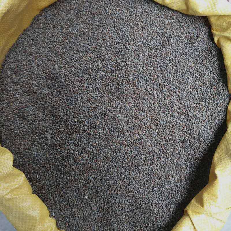 贵州特产酥麻籽农家种生酥麻黑苏麻籽引子油性酥麻子 1斤试吃【图片