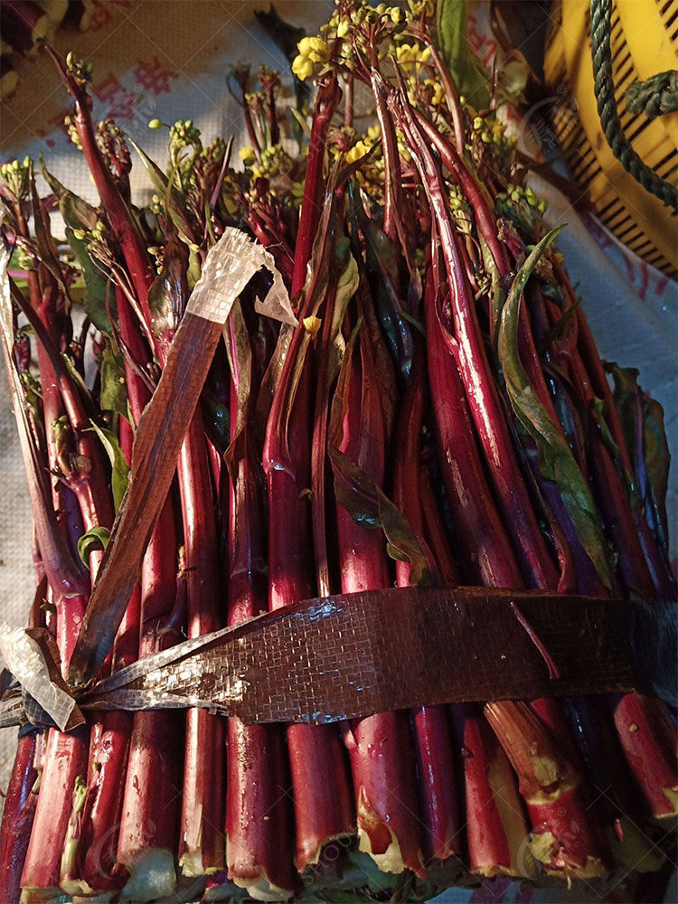 棠鲜生洪山菜苔现摘红菜苔新鲜现发湖北特产武汉打霜薹油菜台蔬菜团建
