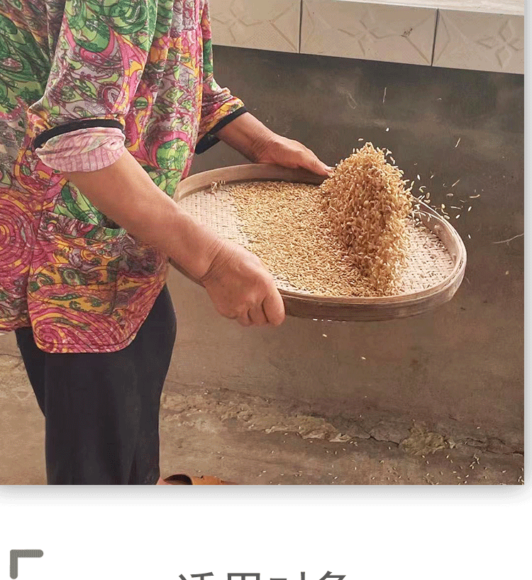 稻谷喂鸡水稻谷子稻谷带壳粮食喂鸡鸭鹅鸽子鸟宠物饲料带壳大米稻子新