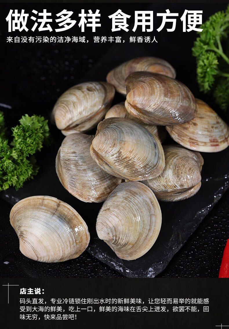 蛤蜊鲜活美贝无沙花甲花蛤文蛤鲜活贝类昌盛隆超大五斤