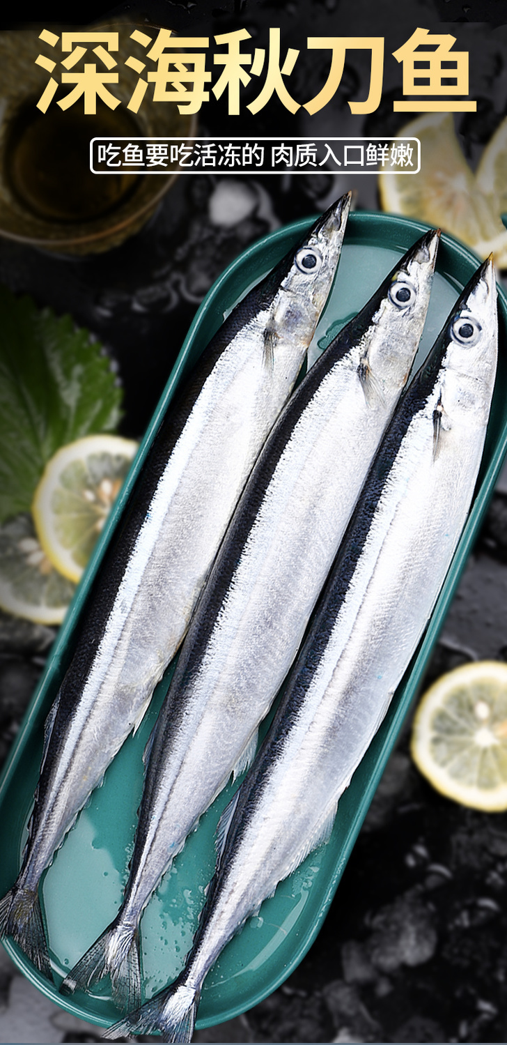 新鲜海捕深海秋刀鱼 鲜活冷冻秋刀鱼 海鲜日式烧烤食材海鱼水产 鲜活