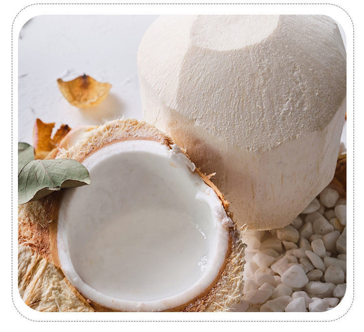 海南越王头生椰乳鲜打椰椰乳椰萃冷冻椰子水椰浆咖啡奶茶店原材料菲诺