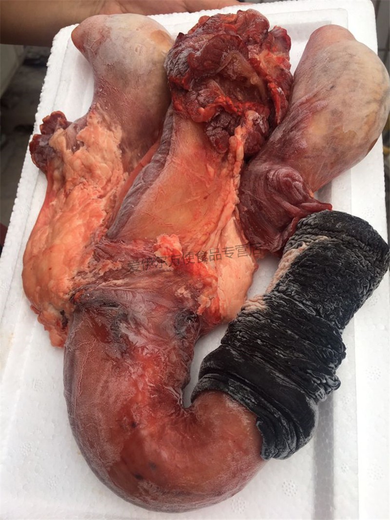 新鲜驴鞭 带蛋驴鞭 驴腰子 450g单鞭 1.