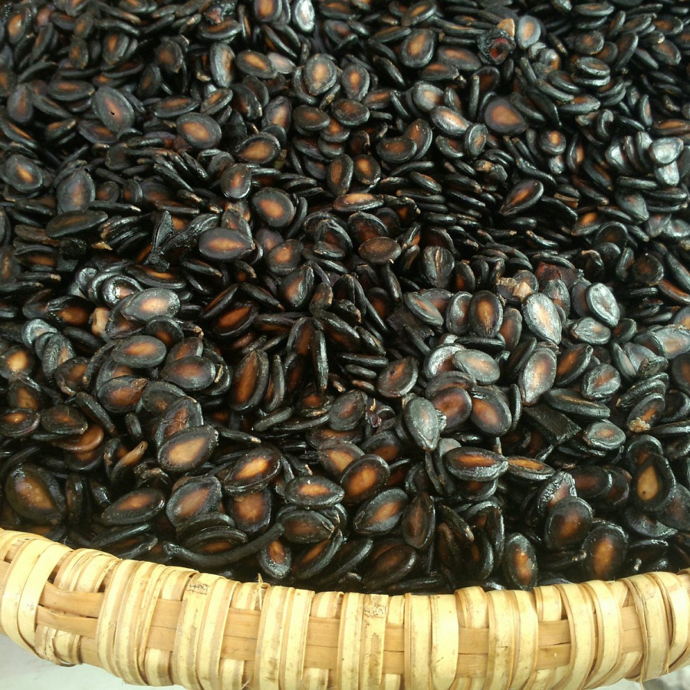 新货江西吉安安福水煮西瓜子五香盐味湿瓜子零食的西瓜子 4斤大湿瓜子